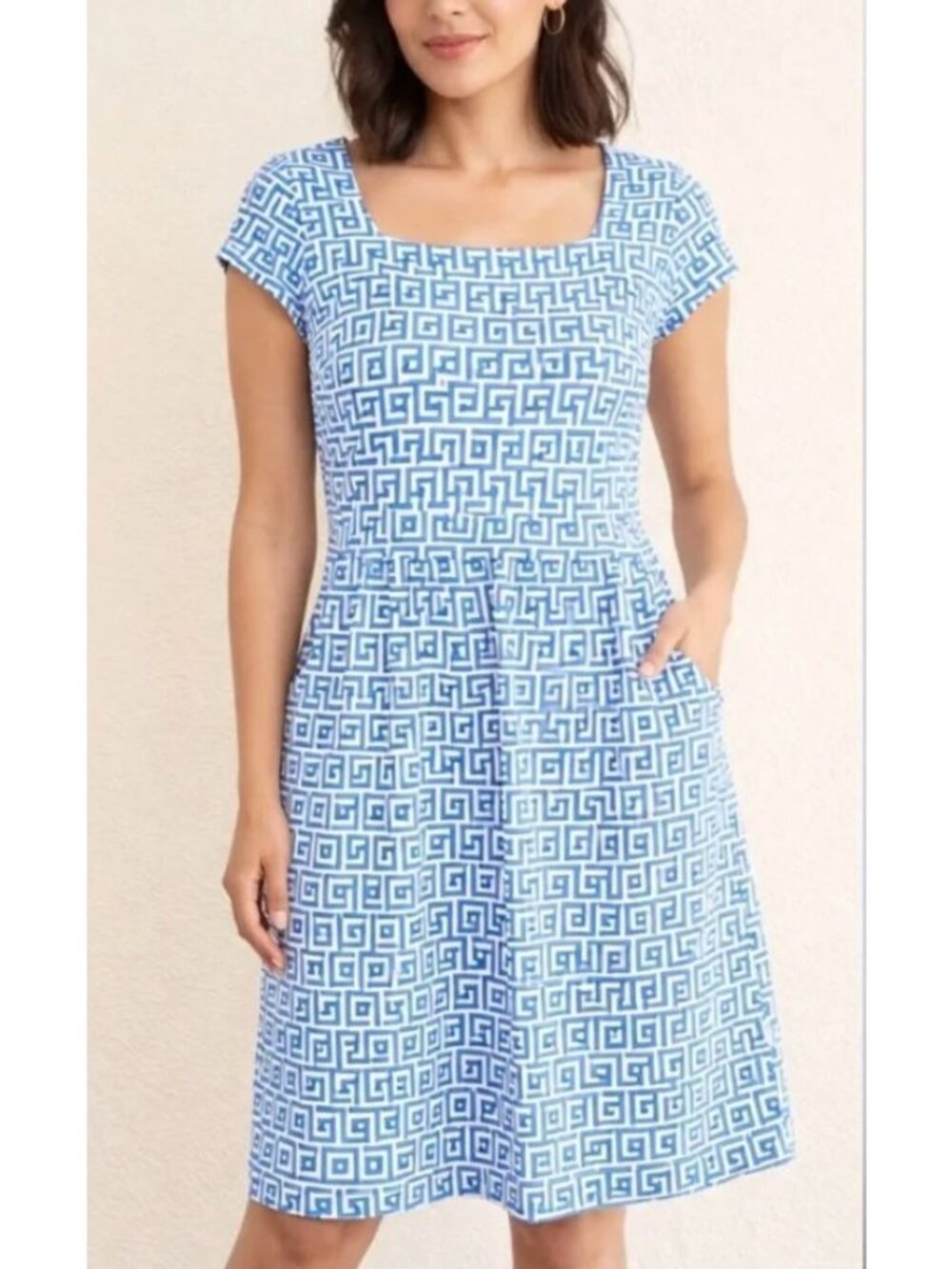 J. MCLAUGHLIN catalina cloth emma dress in blue print size S